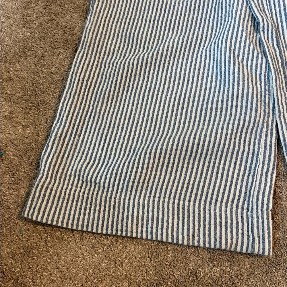 Aerie Blue and White Striped Chinos - Picture 4 of 5